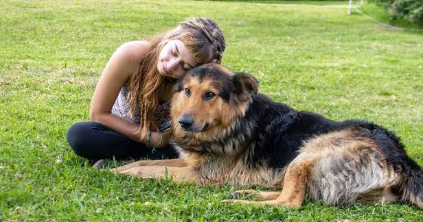 Heartworm